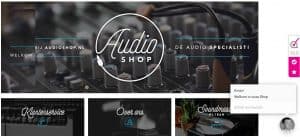 De webwinkel van audioshop