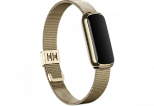 FITBIT Luxe Metal Mesh Goud One Size